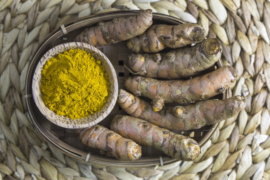 Haridra — Curcuma longa in cultivation. This caption replaces text imported from the photograph's uploader, which claimed turmeric can prevent and treat Alzheimer's disease. That is not established, and this library does not make claims of that kind.