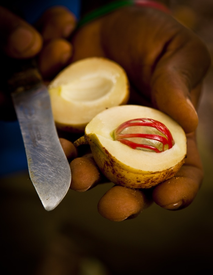 Jatiphala — This is an image of food from
