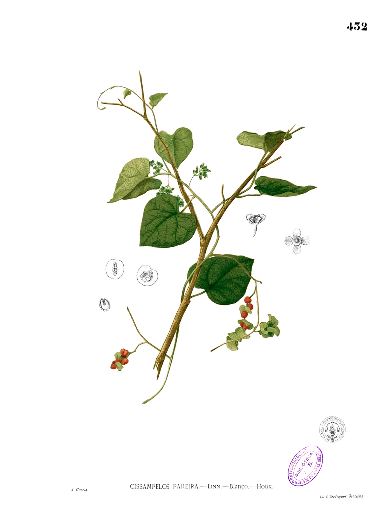 Patha — Plate from book
