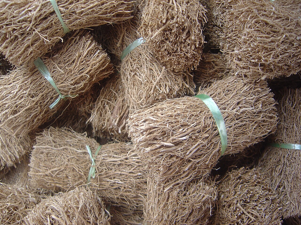 Ushira — Vetiveria zizanoides roots sold in bunches (Réunion Island).