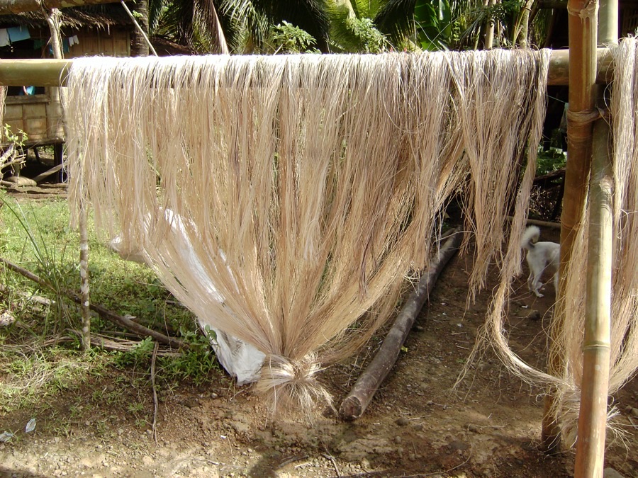 How should the stripped fibre be dried?
