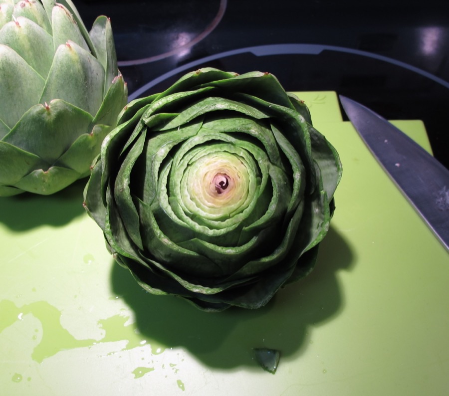 When is a bud ready to cut?