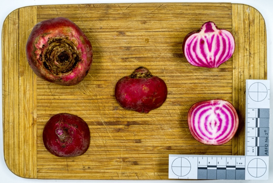 What should it look like cut open?