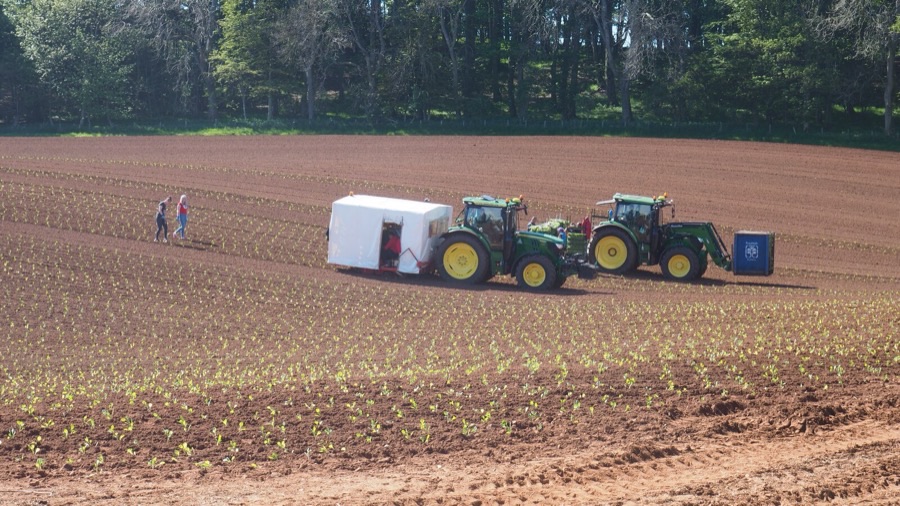 What does planting the crop look like?