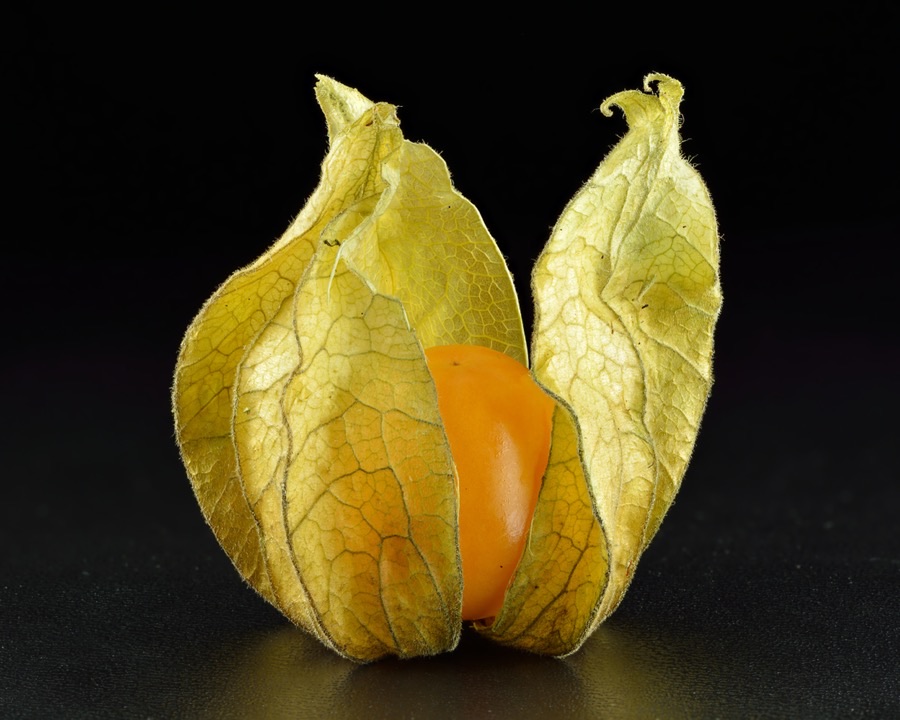 What does ripe fruit look like inside the husk?