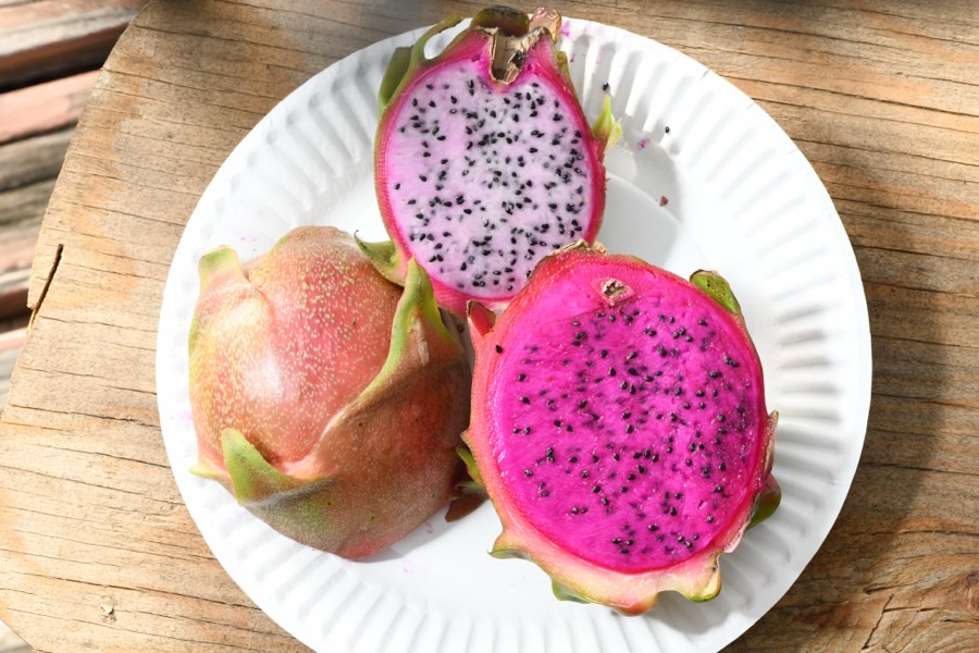 When is the fruit ready to cut?