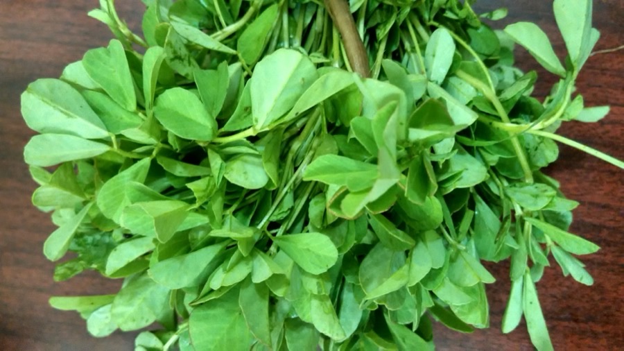 How do I know the leaves are ready to cut?