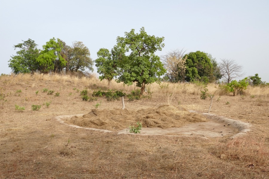 Why has somebody built a smooth clay circle with a rim around it in the middle of a field?