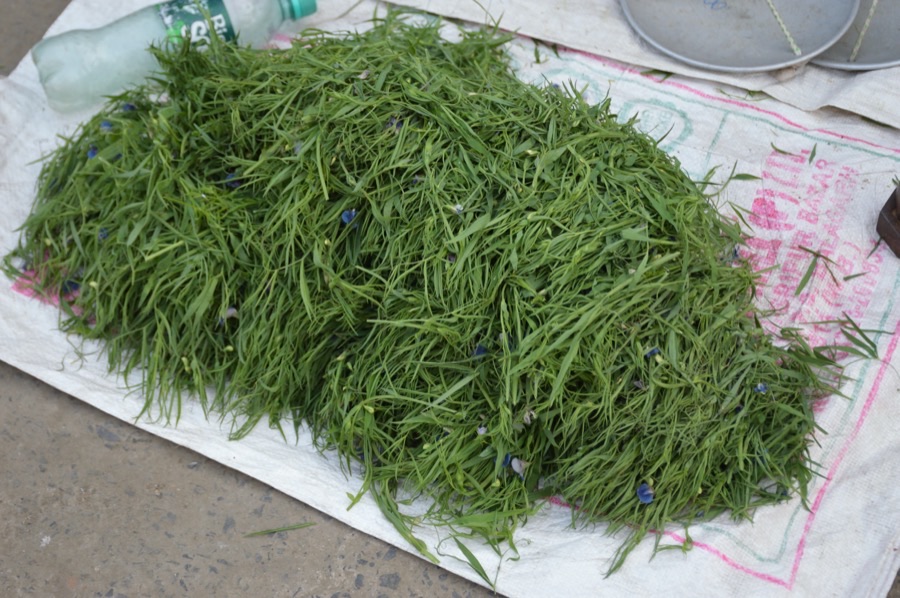 Can the leaves be eaten, and what do they look like when sold?