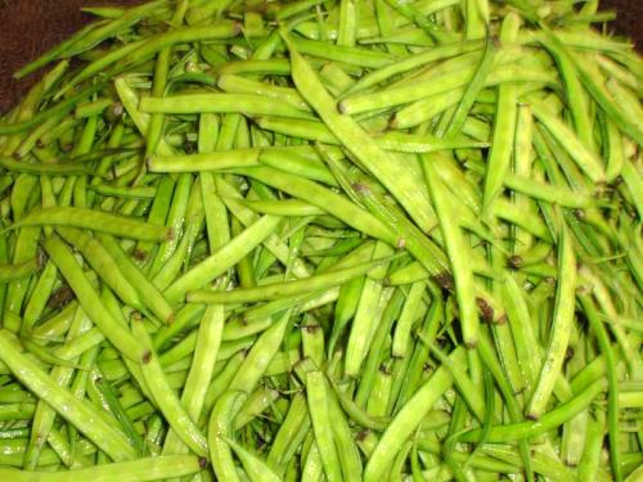 How young should the pods be if I am picking them to eat?