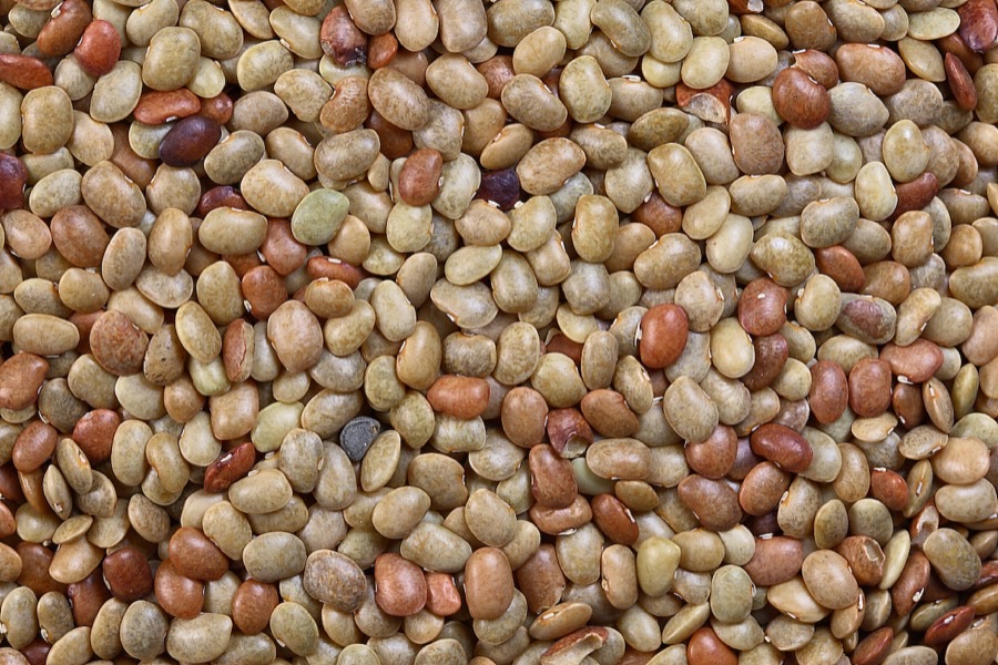 What does the grain look like?