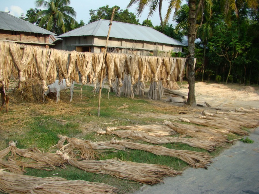 Which of this drying fibre will be paid for properly, the fibre on the pole or the fibre on the road?
