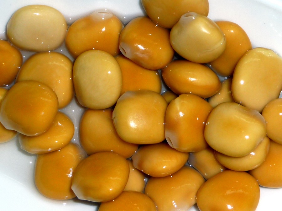 Why are these seeds sitting in water rather than in a sack?