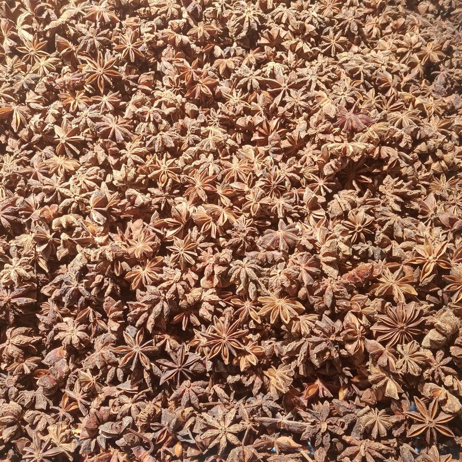 What does the crop look like while it is drying?