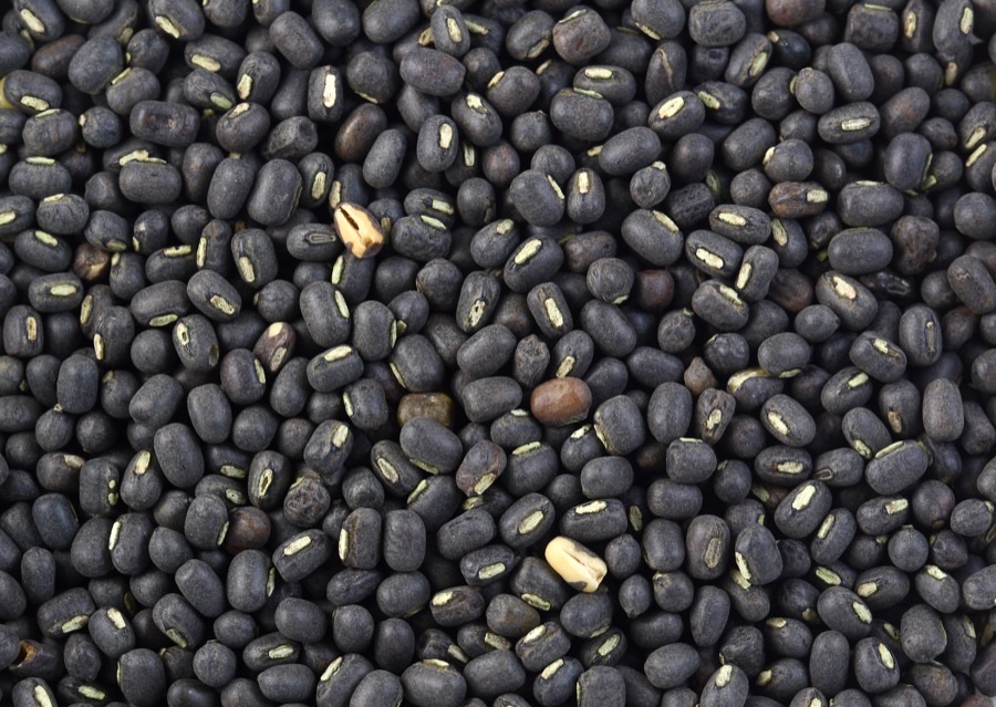 How do I know this is black gram and not something else in the sack?