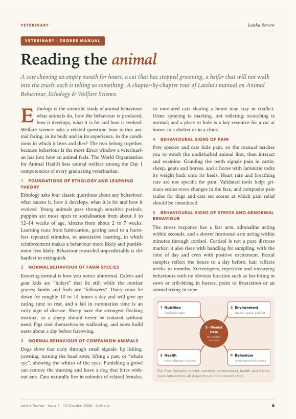 Page 6 of Laisha Review Issue 1, where this article begins