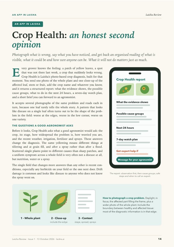 Page 14 of Laisha Review Issue 1, where this article begins